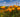 Welcome to the Poppy + Monarch Blog: Where Conversation Ignites Compassion