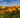 Welcome to the Poppy + Monarch Blog: Where Conversation Ignites Compassion